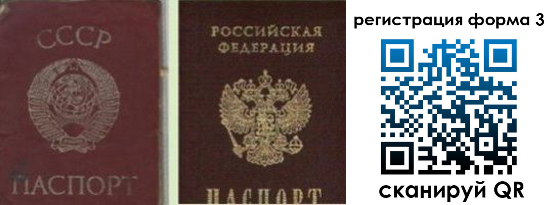 прописка для школы в Бердске